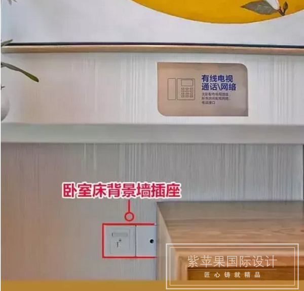 無錫紫蘋果裝飾