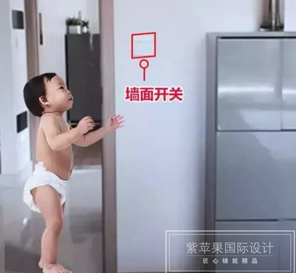 無錫紫蘋果裝飾