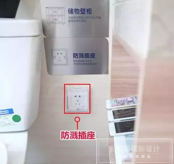 無錫紫蘋果裝飾