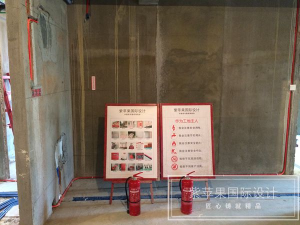 無(wú)錫紫蘋(píng)果裝飾