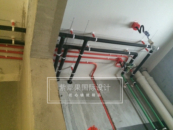 無錫紫蘋果裝飾