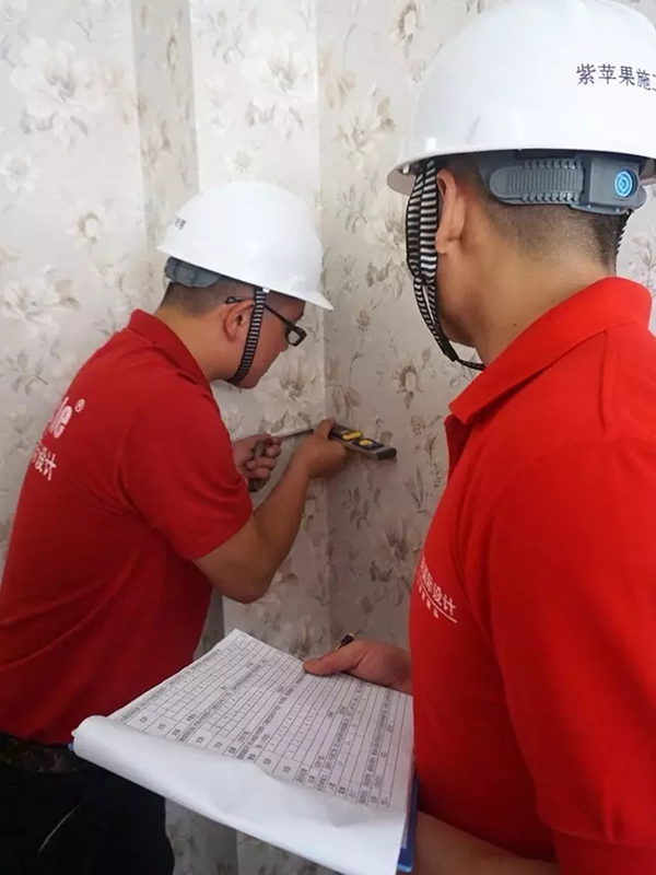 無錫紫蘋果裝飾