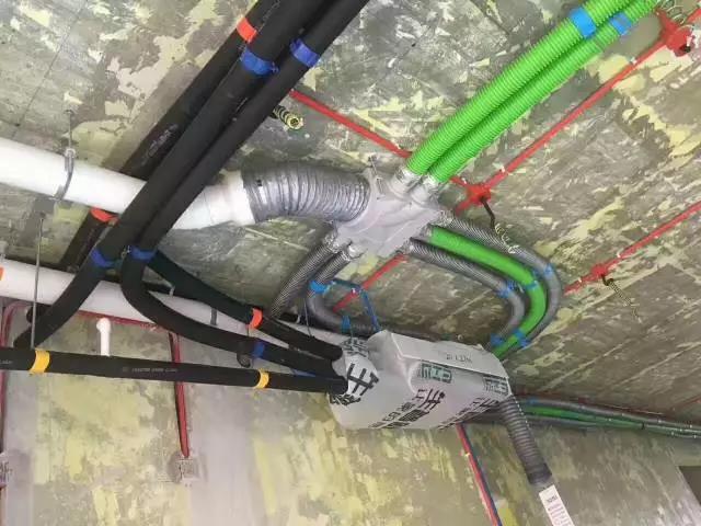 無錫紫蘋果裝飾