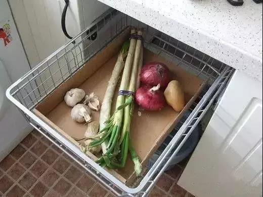 無錫紫蘋果裝飾